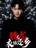 腾龙之衣锦还乡(30集)全集免费在线观看 - 第一搜