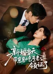 《新婚当天带崽崽和乞丐老公领证了(60集)》短剧全集免费在线观看
