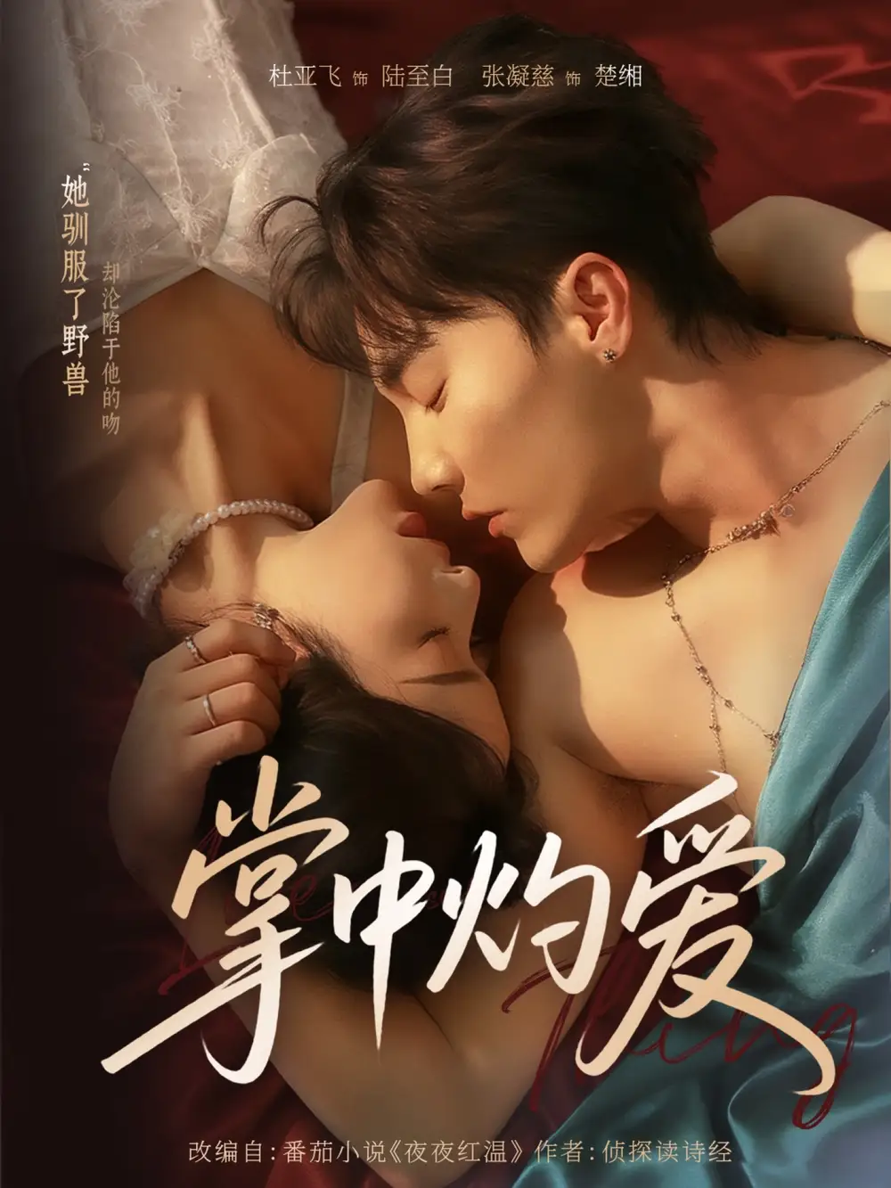 掌中灼爱(62集)杜亚飞&张凝慈全集免费在线观看 - 第一搜