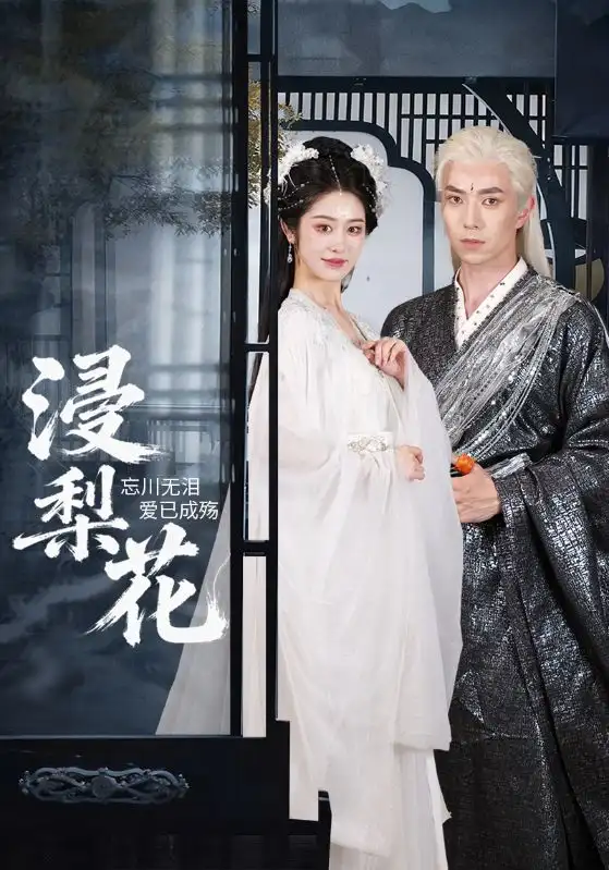 浸梨花（50集）全集免费在线观看 - 第一搜