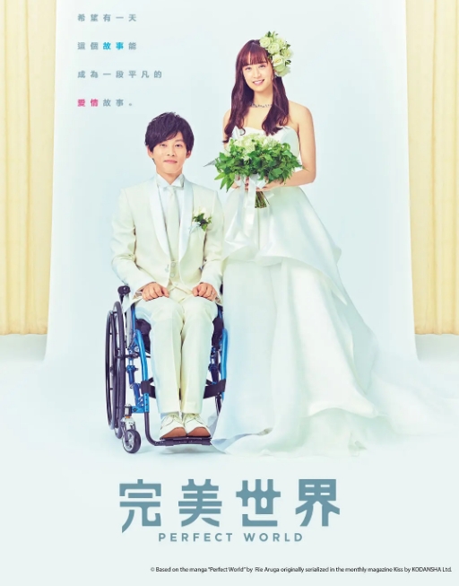 [日剧]《完美的世界》（2019）电视剧|全集高清免费在线观看