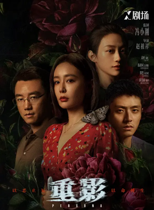 [国剧]《重影》（2025）电视剧|全集高清免费在线观看