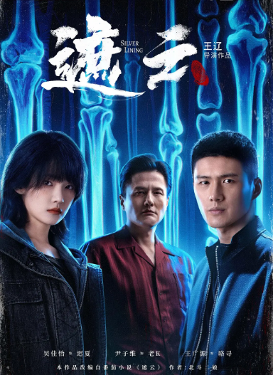 [国剧]《遮云》（2025）电视剧|全集高清免费在线观看