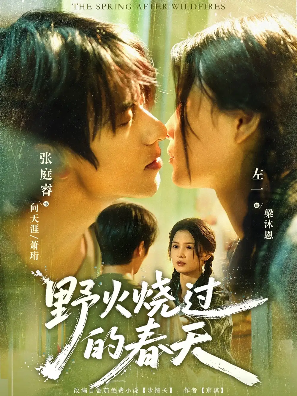 .野火烧过的春天(85集)全集免费在线观看 - 第一搜