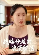 《战略分歧的浪漫解法（16集）》短剧全集免费在线观看