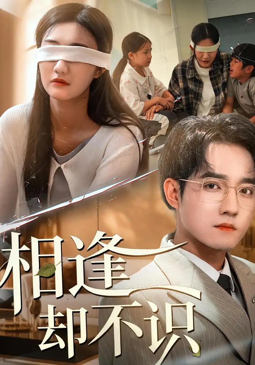 《相逢却不识（77集）刘静阳&程汁》短剧全集免费在线观看