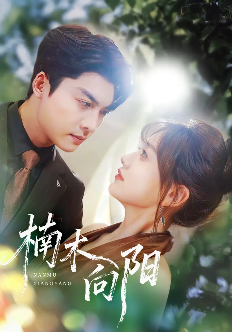 《楠木向阳（70集）》短剧全集免费在线观看