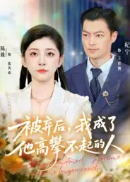 《被弃后我成了他高攀不起的人（68集）陈姝&纪宁》短剧全集免费在线观看