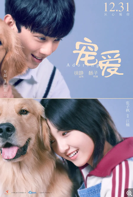 国剧《宠爱》（2019）电影|全集高清免费在线观看-CD网盘社