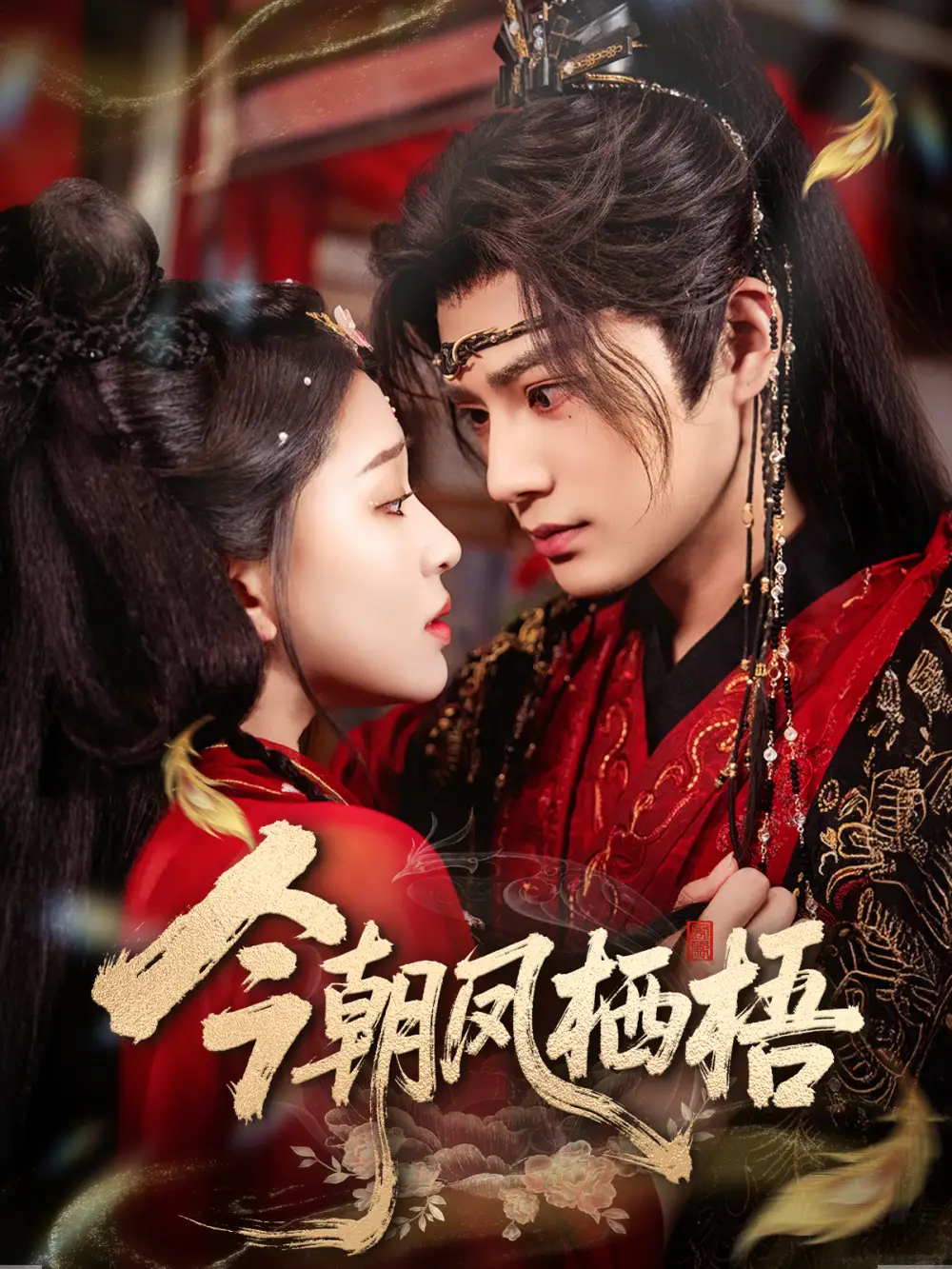 《.今朝凤栖梧（68集）》短剧全集免费在线观看