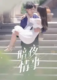 《暗夜情事（100集）》短剧全集免费在线观看