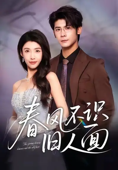 《春风不识旧人面（48集）》短剧全集免费在线观看