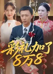 《彩礼加了8万8（54集）》短剧全集免费在线观看