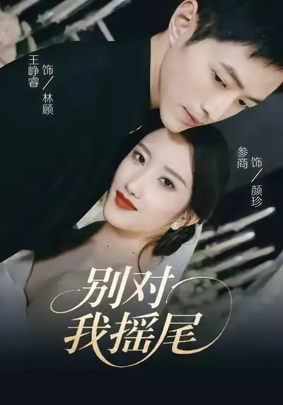 《别对我摇尾（59集）王峥睿＆参商》短剧全集免费在线观看