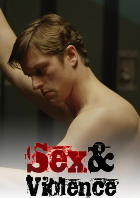 加拿大连续剧《性与暴力》（1-3季）（2013-2017）剧情 / 犯罪 豆瓣7.4电视剧全集观看下载-丹尼奥影视