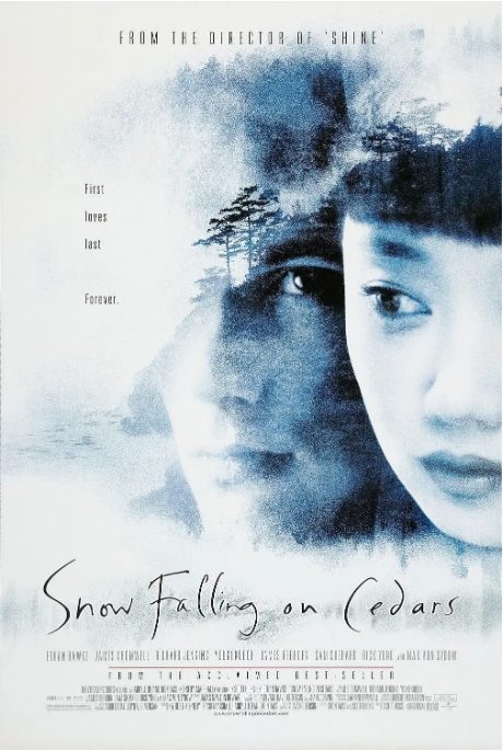 美国电影《落在香杉树的雪花》（1999）电影|全集高清免费在线观看-CD网盘社