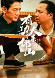 《有功夫来佛山（12集》短剧全集免费在线观看