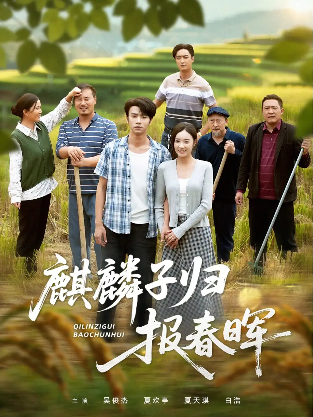 《.麒麟子归报春晖（36集）》短剧全集免费在线观看