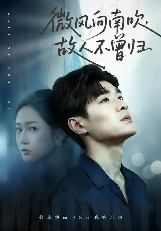 《微风向南吹故人不曾归（72集）易柏辰＆王悦洋》短剧全集免费在线观看