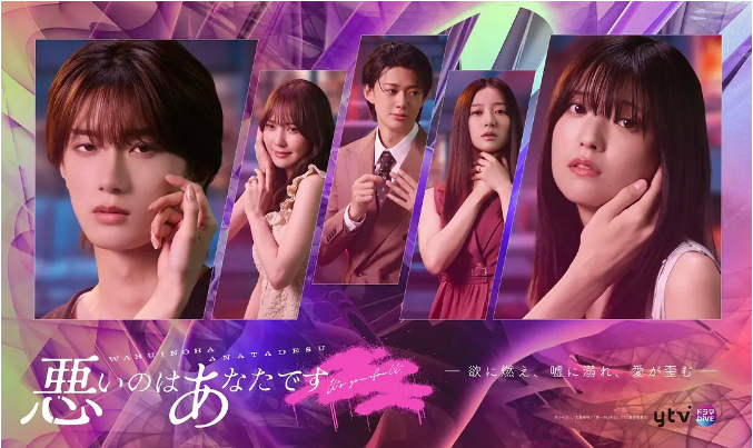 [日剧]《错的是你》（2025）电视剧|全集高清免费在线观看