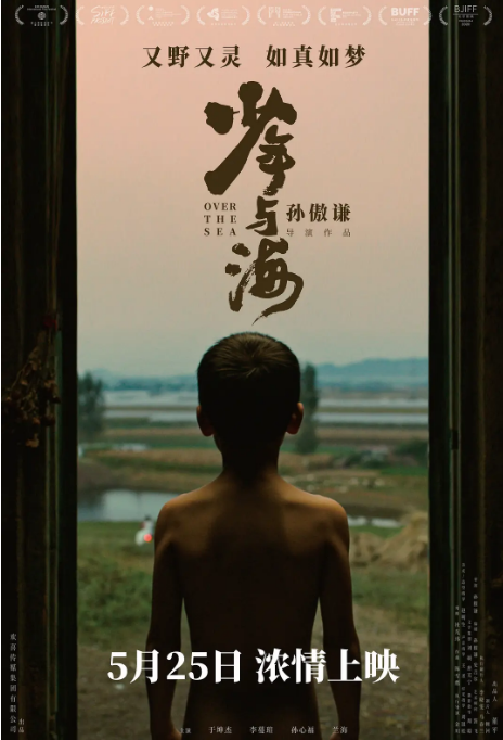 国剧《少年与海》(2019)电影|全集高清免费在线观看