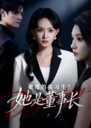 《被甩的实习生？她是董事长！（59集）区天瑞&卢梦琳》短剧全集免费在线观看