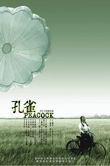 国剧《孔雀》(2005)电影完整版在线观看下载-丹尼奥影视