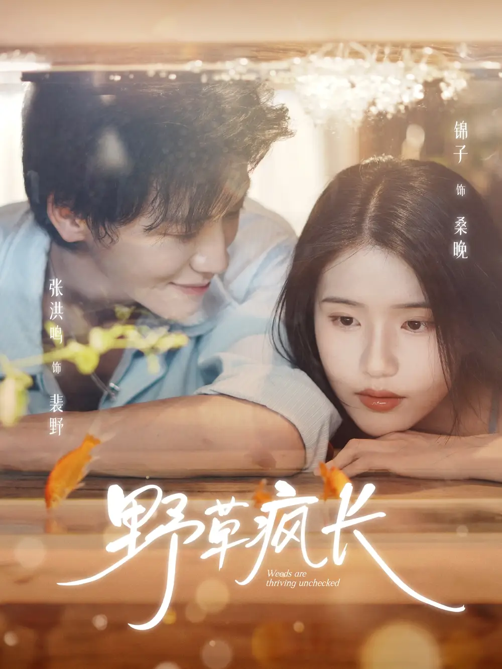 《野草疯长（71集）》短剧全集免费在线观看