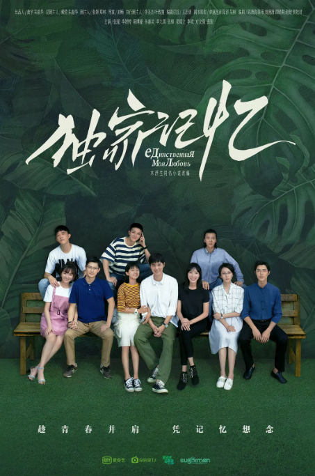 国剧 剧情《独家记忆》（2019）电视剧|全集高清免费在线观看-CD网盘社