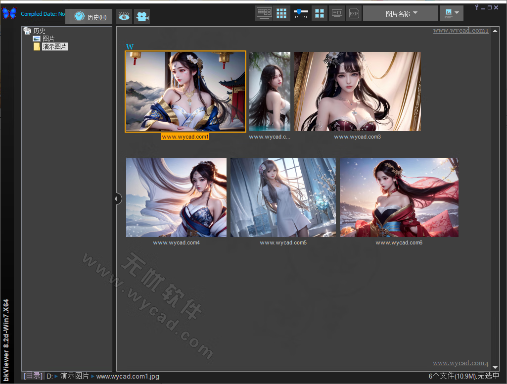 bkViewer小巧精悍数码照片浏览器 v8.2d 中文绿色版