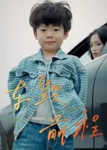 《车毁前程（30集）》短剧全集免费在线观看