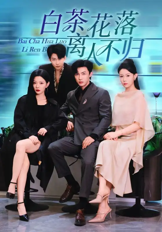《白茶花落离人（51集）沈国洋&林初》短剧全集免费在线观看