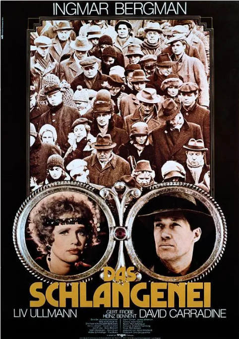 美国电影《蛇蛋》（1977）电影|全集高清免费在线观看