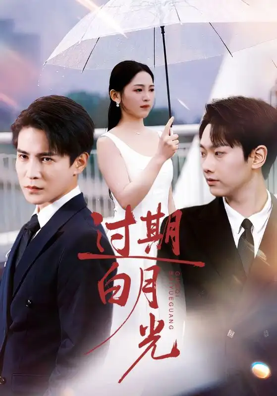 《过期白月光（80集）崔秀子&李子锋》短剧全集免费在线观看