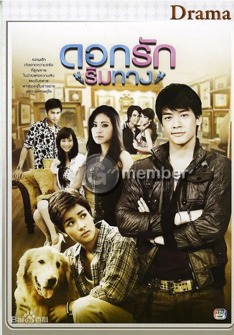 [泰剧]《爱在路上》（2010）电视剧|全集高清免费在线观看