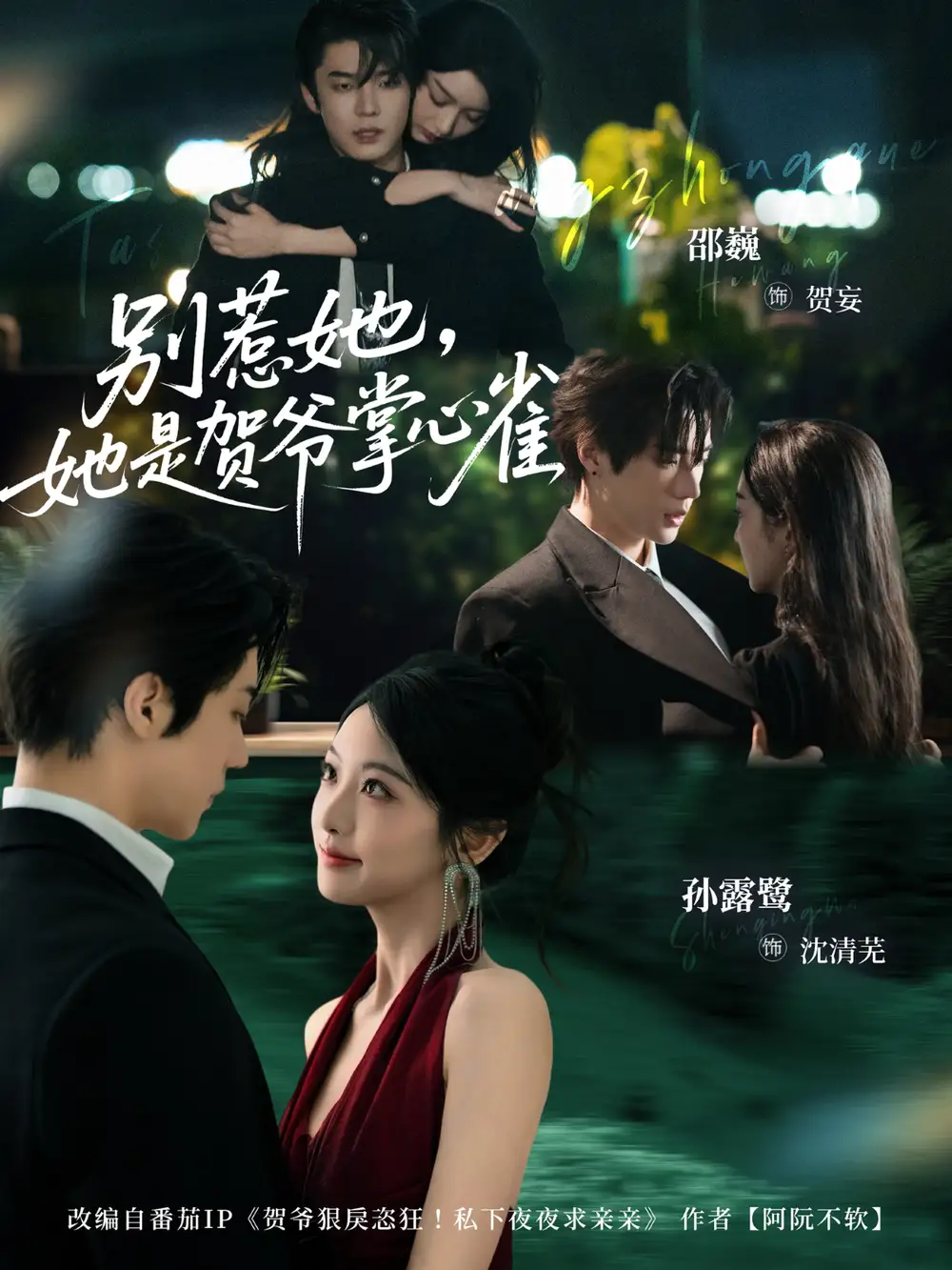 《别惹她，她是贺爷掌心雀（69集）邵巍＆孙露鹭》短剧全集免费在线观看-LV网盘社