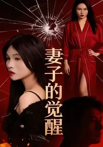 《妻子的觉醒(34集)李乐川&陈佳琦》短剧全集免费在线观看-CD网盘社