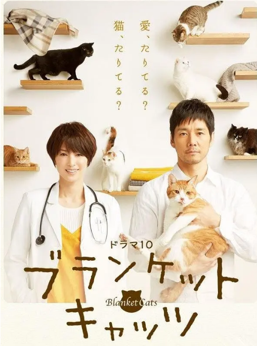 [日剧]《毛毯猫》（2017）电视剧|全集高清免费在线观看