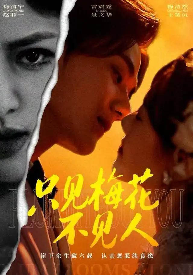 《只见梅花不见人（63集）聂文华&王楚沅》短剧全集免费在线观看