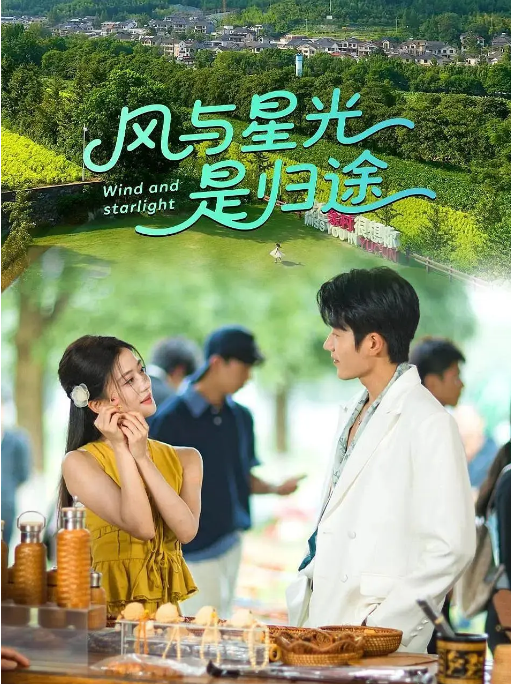 [国剧]《风与星光是归途》（2025）电视剧|全集高清免费在线观看