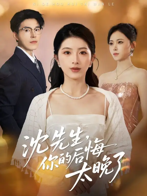 《沈先生,你的后悔太晚了(40集)肖琳&翟中星&王慧珠》短剧全集免费在线观看-CD网盘社