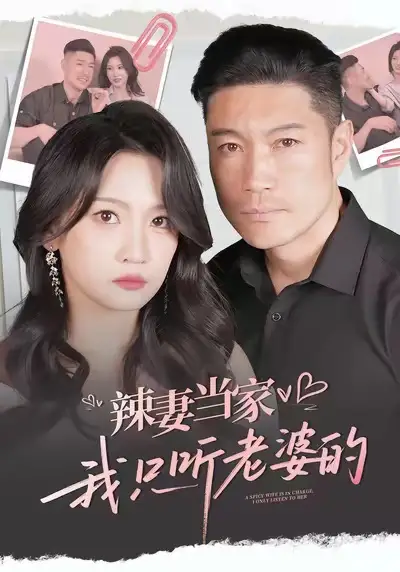 《辣妻当家,我只听老婆的(50集)》短剧全集免费在线观看-CD网盘社