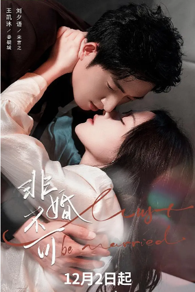 [国剧]《非婚不可》（2025）电视剧|全集高清免费在线观看