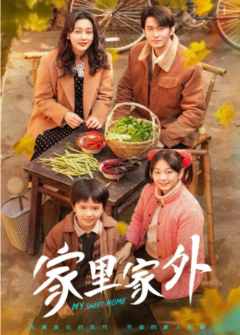 [国剧]《家里家外》（2025）电视剧|全集高清免费在线观看