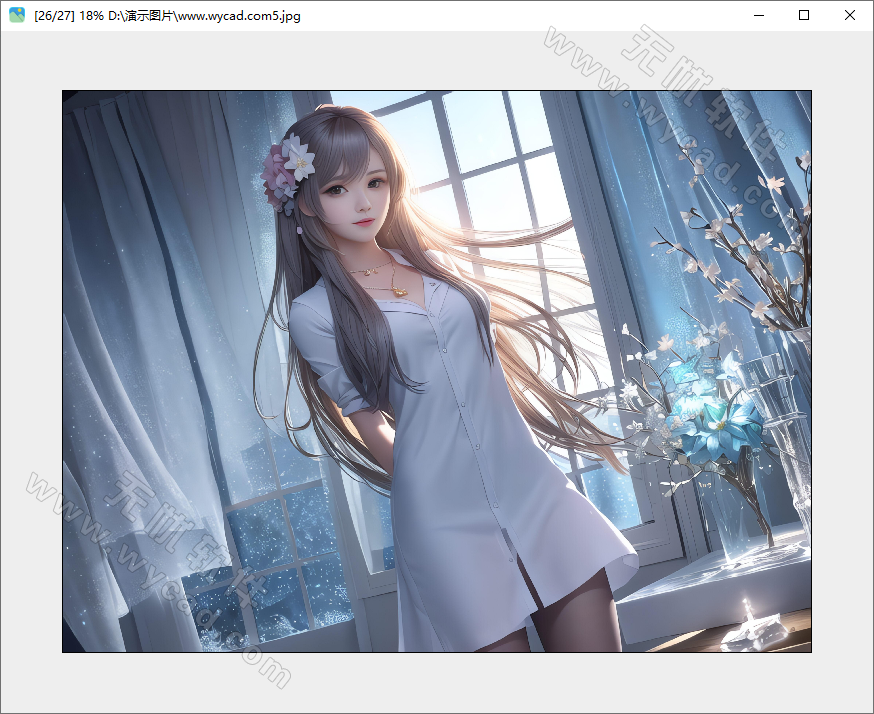 免费图片查看器 | jarkViewer v1.30 中文绿色版