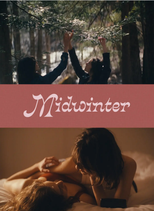 美国电影《仲冬》（2024）电影|全集高清免费在线观看