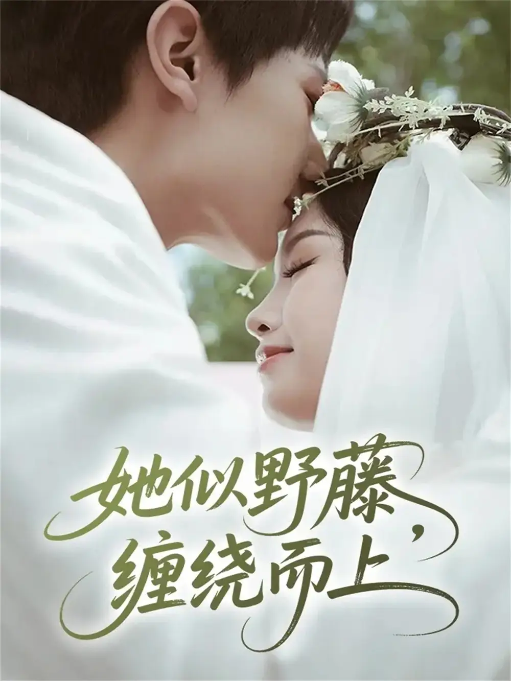 《她似野藤，缠绕而上（51集）万烽＆李文茹》短剧全集免费在线观看