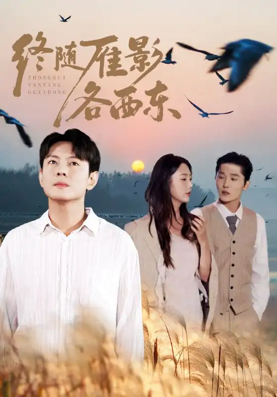 《终随雁影各西东（86集）金鑫欣&邱浩轩》短剧全集免费在线观看
