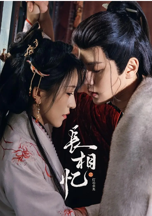 [国剧]《长相忆之灯冶未央》（2025）电视剧|全集高清免费在线观看