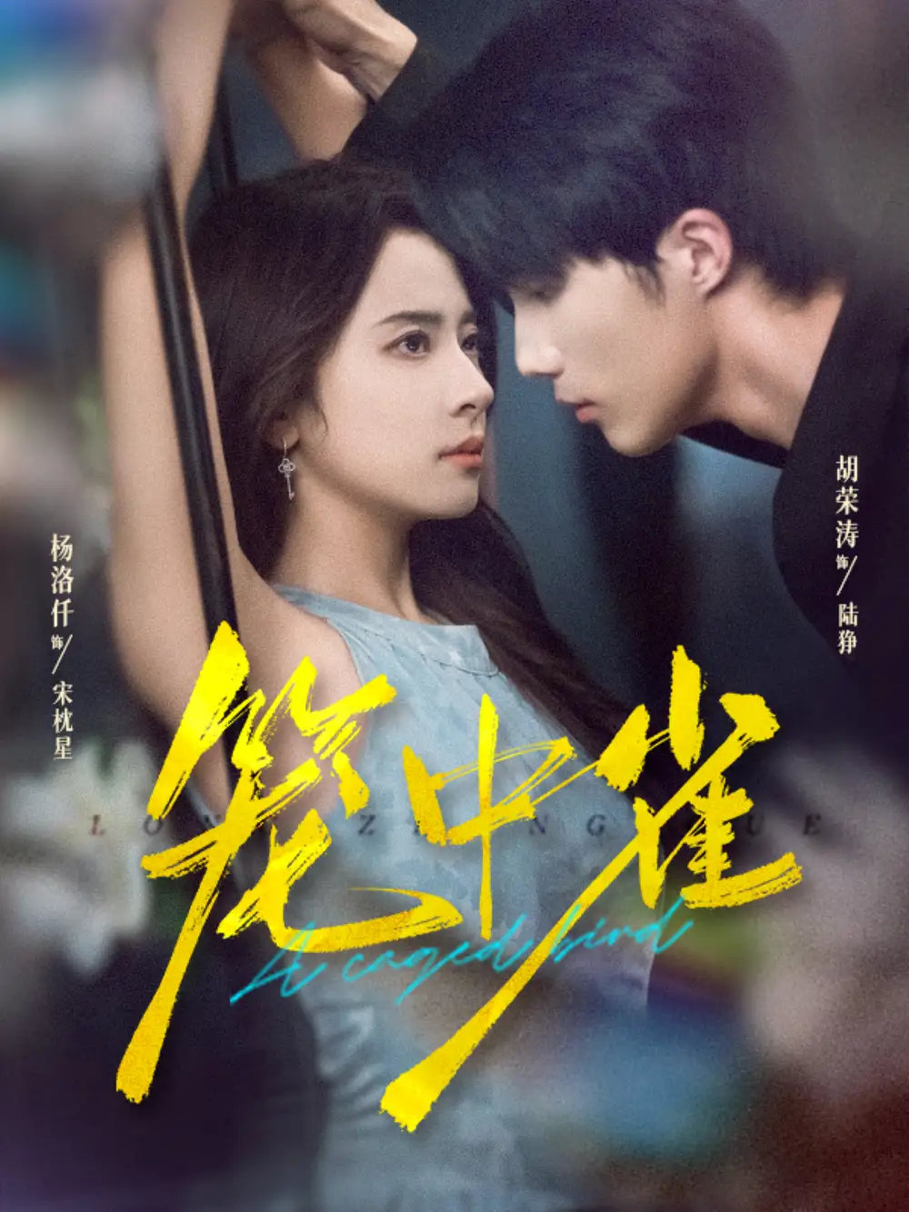 《笼中雀（65集）胡荣涛＆杨洛仟》短剧全集免费在线观看